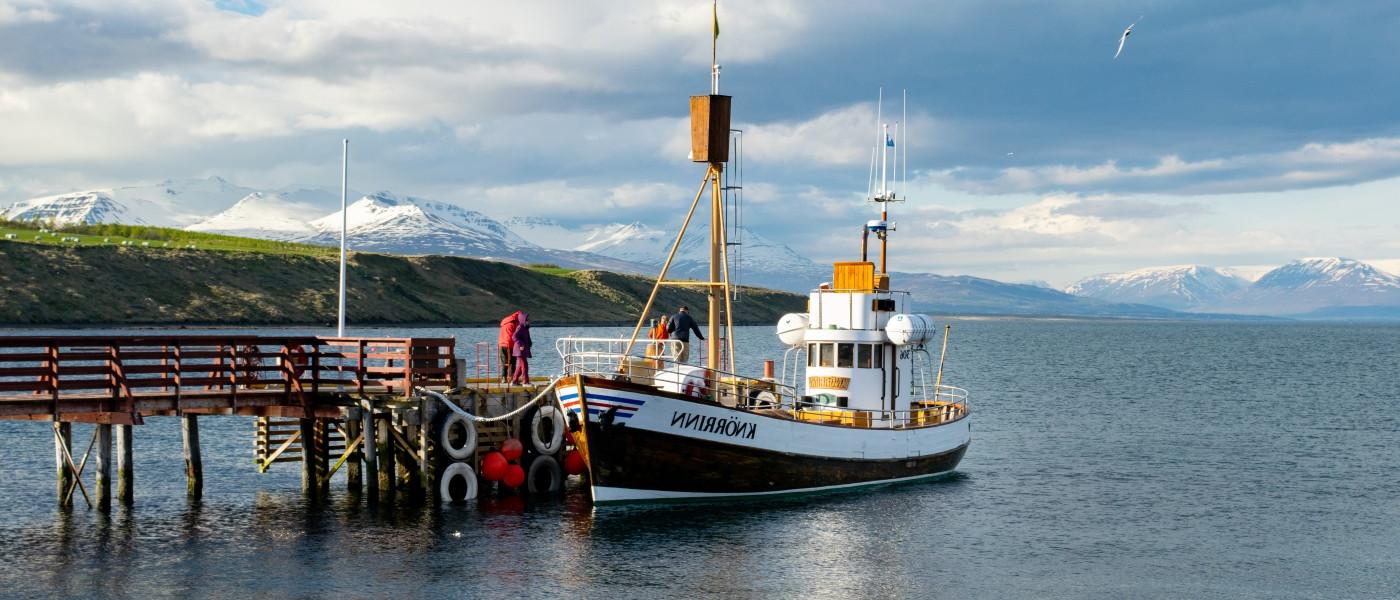 Iceland Natural History Travel Course